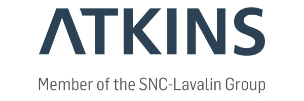 Consultants Logo 8